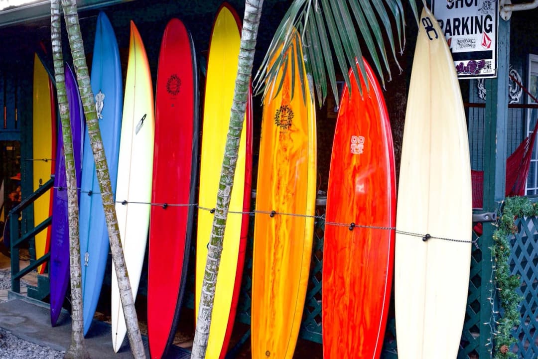 Surfboard Rentals